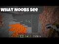 Minecraft what Noobs see VS what Pros see