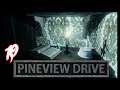 Pineview Drive - Gameplay en Español PS4 [1080p 60FPS] #10