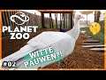 WITTE PAUWEN?! Een nieuwe PLANET ZOO DIERENTUIN bouwen! | Planet Zoo Nederlands [#02]