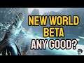 New World Closed Beta, Should you Pre Order? *Gameplay Review*