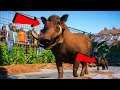 ONTMOET BERT & BERNARD !! | Planet Zoo #2 (Beta)