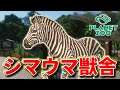 【Planet Zoo】シマウマをアフリカエリアで飼育しよう!【動物園を作ろう!#92】