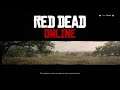 Red Dead Redemption 2 Online |Strangers| Story| Gun Rush| Poker|Hunting|