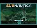 Subnautica [Deutsch/Survival] Nachkommen #37