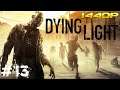 WALCZE na ARENIE 💪 #13 -  Dying Light PL [Gameplay pl] [dlpl]