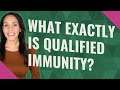 What exactly is qualified immunity?