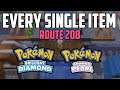 EVERY Item in Route 208 - Pokémon Brilliant Diamond & Shining Pearl