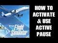 How To Find Enable & Use Active Pause To Freeze Time MS Flight Simulator Xbox S X Screen Shots