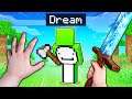 Realistic Minecraft - REAL STEVE vs DREAM!