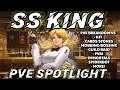 SS King PVE Spotlight: Kit, Cards, Stones, Mobbing, Bossing, Guild Raid, Immortals, Spiderbot, MORE!