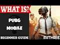 PUBG Mobile Introduction | What Is Series