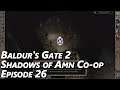 Baldur's Gate 2 - Shadows of Amn Co-op | Episode 26