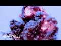 Dead Synchronicity : Tomorrow Comes Today Babbleplay part 1 - Wake Up, Micheal