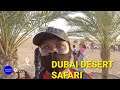 DUBAI DESERT SAFARI FULL EXPERIENCE | TRAVEL VLOGS UAE  🇦🇪