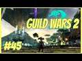 Guild Wars 2 🧙🏼 045 - Ascalon braucht uns 🧙🏼 Let's Play