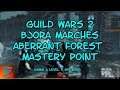 Guild Wars 2 Bjora Marches Aberrant Forest Mastery Point Level 3 Springer