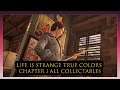 Life is Strange True Colors Chapter 1 A Side All Memory Locations
