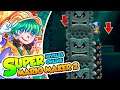 ¡Los mejores niveles de 3D World! - Super Mario Maker 2 (Niveles Online) DSimphony