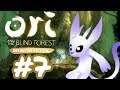 Ori and the Blind Forest - Gameplay Walkthrough Part 7 - Returning to Ginso Tree