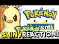 Shiny Combusken Reaction & Pokemon Presents Discussion! Dynamax Adventures Shiny Reaction!