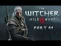 SingSing The Witcher 3: Wild Hunt - Part 11